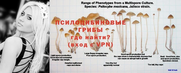 ALPHA-PVP Алексеевка