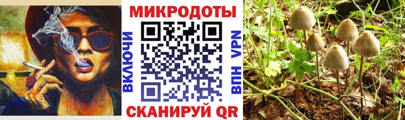МЕГА ССЫЛКА  где продают   Чистополь  Псилоцибиновые грибы ЛСД 