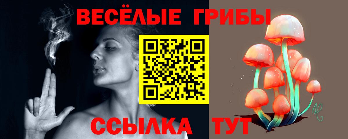 Чистополь  Галлюциногенные грибы MAGIC MUSHROOMS  Вход с VPN 